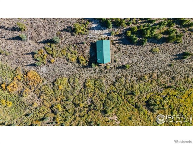 162 S Silk Sisters Place, Fairplay, CO 80440