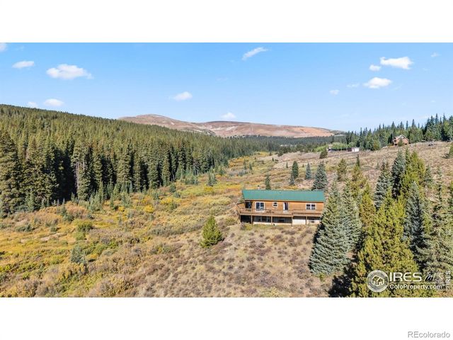 162 S Silk Sisters Place, Fairplay, CO 80440