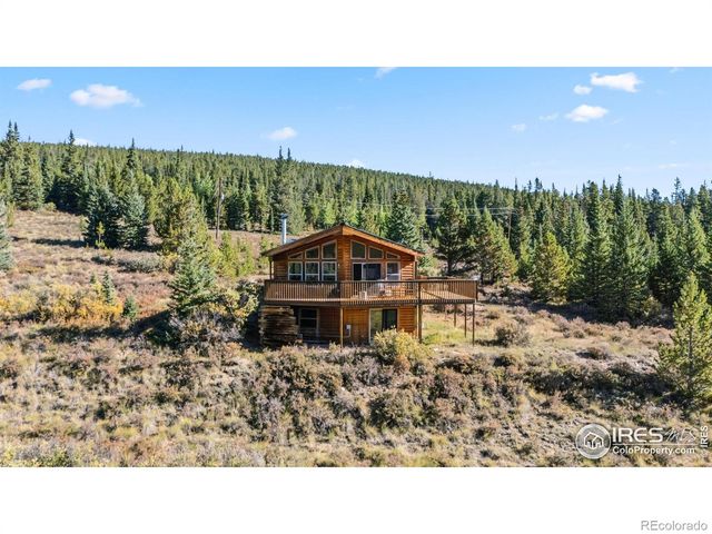 162 S Silk Sisters Place, Fairplay, CO 80440