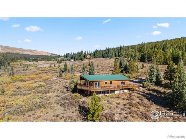 162 S Silk Sisters Place, Fairplay, CO 80440