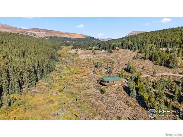 162 S Silk Sisters Place, Fairplay, CO 80440