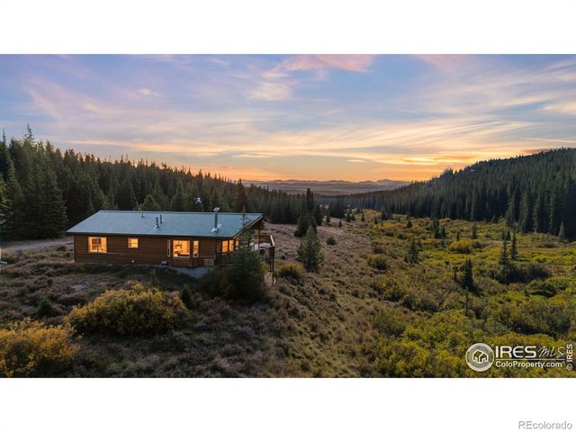 162 S Silk Sisters Place, Fairplay, CO 80440