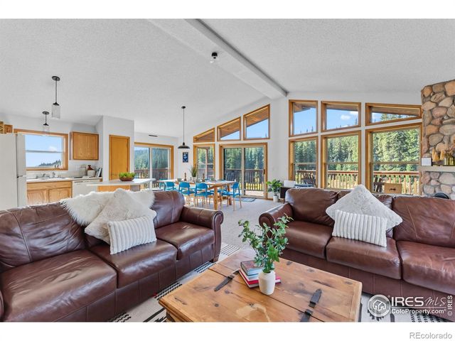 162 S Silk Sisters Place, Fairplay, CO 80440