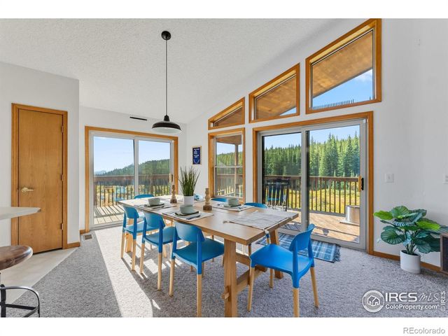 162 S Silk Sisters Place, Fairplay, CO 80440