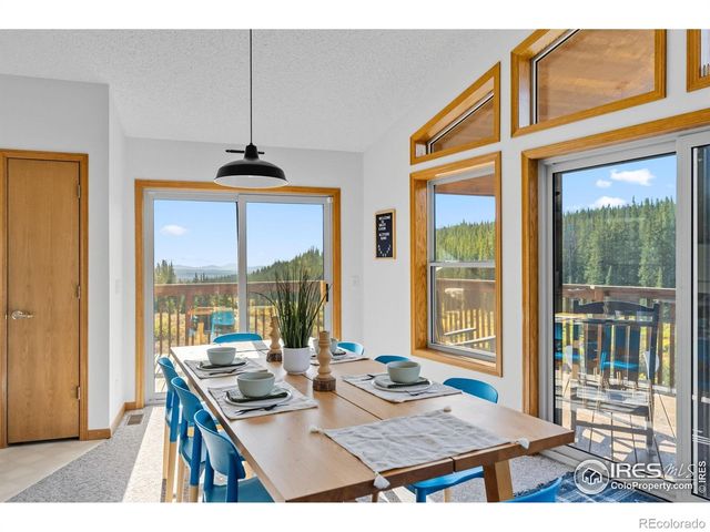 162 S Silk Sisters Place, Fairplay, CO 80440