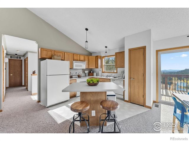 162 S Silk Sisters Place, Fairplay, CO 80440