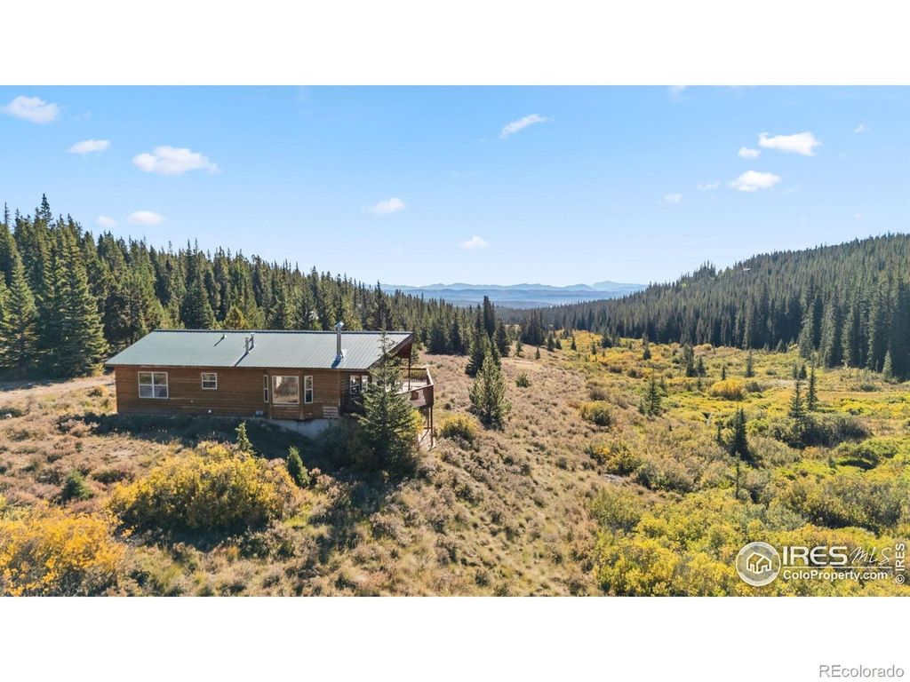 162 S Silk Sisters Place, Fairplay, CO 80440