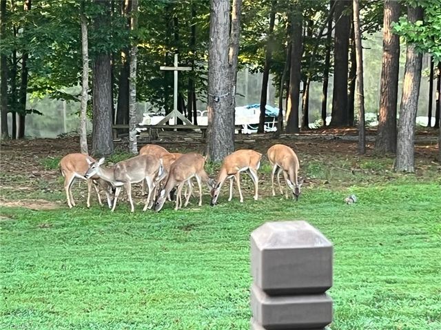 179 & 178 Stone Country Lane, Asheboro, NC 27203