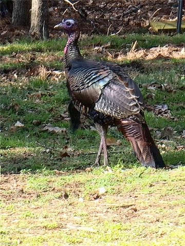 179 & 178 Stone Country Lane, Asheboro, NC 27203