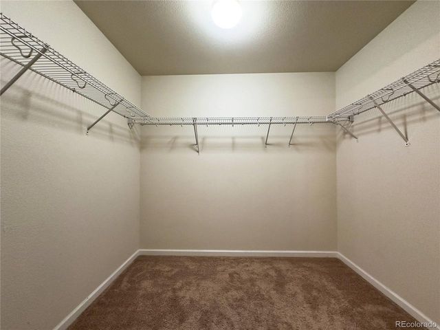 1578 Sepia Ave, Longmont, CO 80501