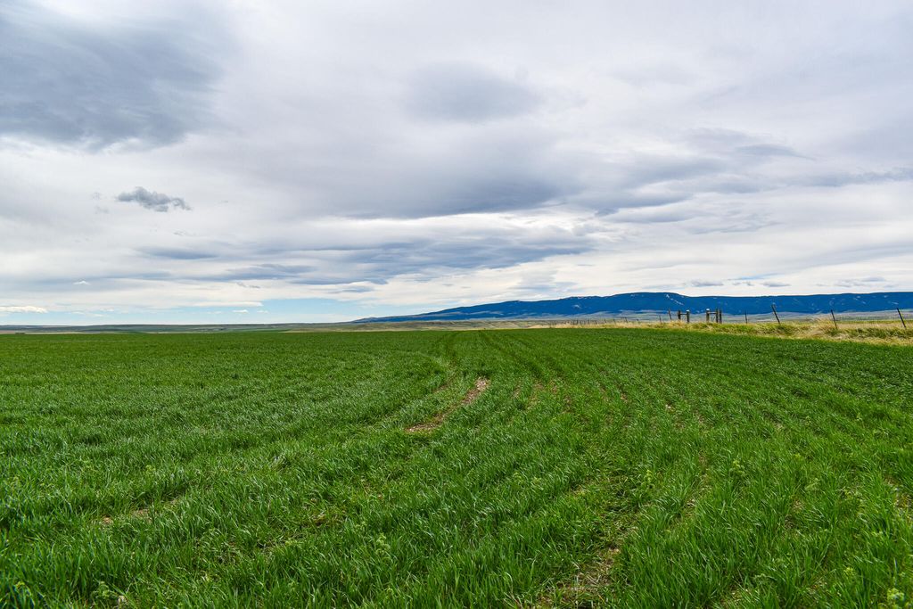 NHN Straw Road, Moore, MT 59418 photo 10