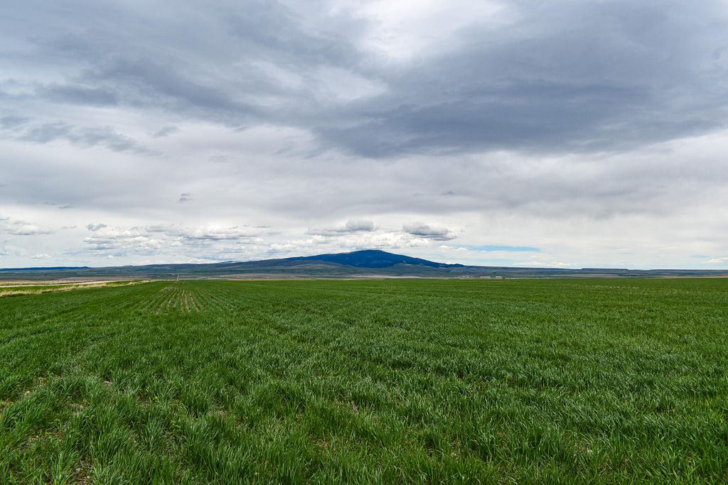 NHN Straw Road, Moore, MT 59418 photo 11