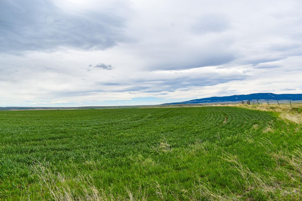 NHN Straw Road, Moore, MT 59418 photo 14