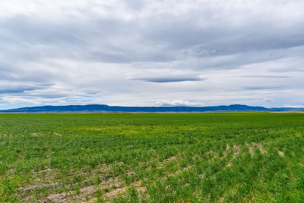 NHN Straw Road, Moore, MT 59418 photo 15