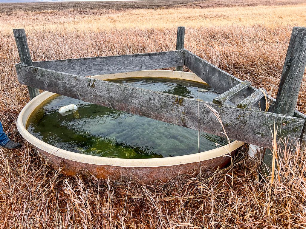 NHN Straw Road, Moore, MT 59418 photo 20