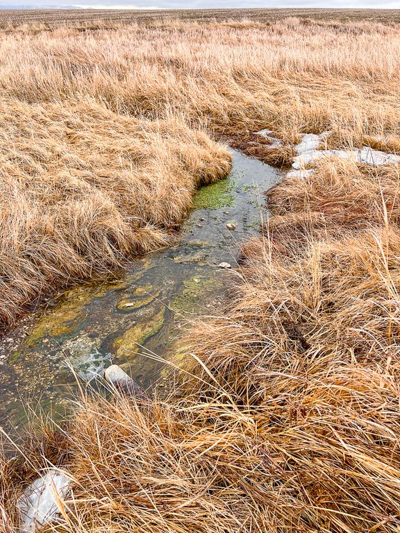NHN Straw Road, Moore, MT 59418 photo 22