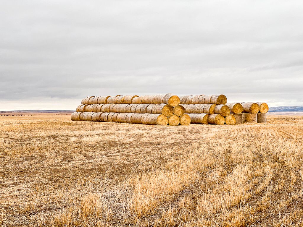 NHN Straw Road, Moore, MT 59418 photo 24