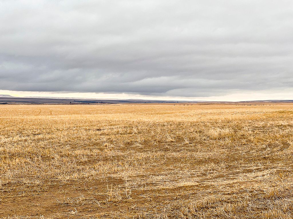 NHN Straw Road, Moore, MT 59418 photo 26