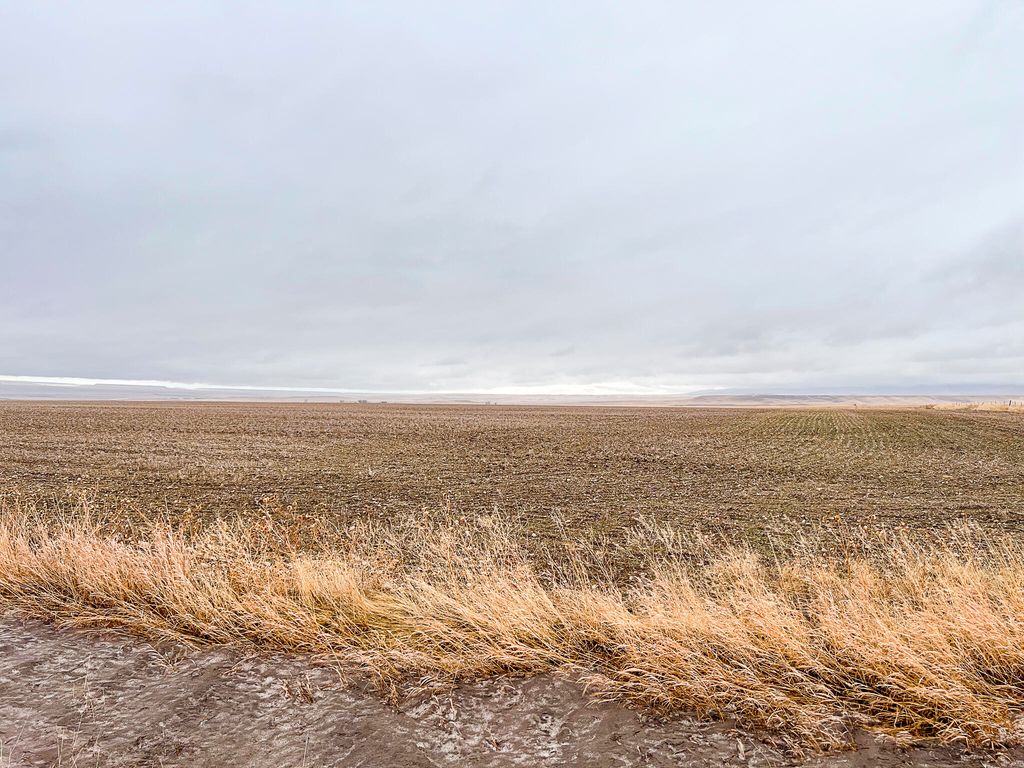 NHN Straw Road, Moore, MT 59418 photo 27