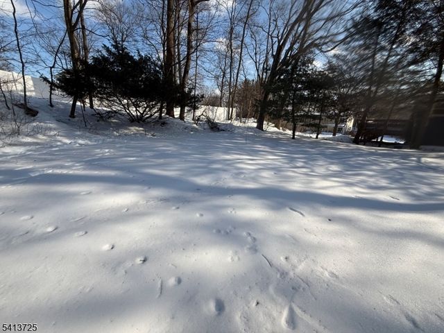 603 Bensel Dr, Mount Arlington Boro, NJ 07850