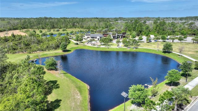 17988 PASSIONFLOWER CIRCLE, Clermont, FL 34714