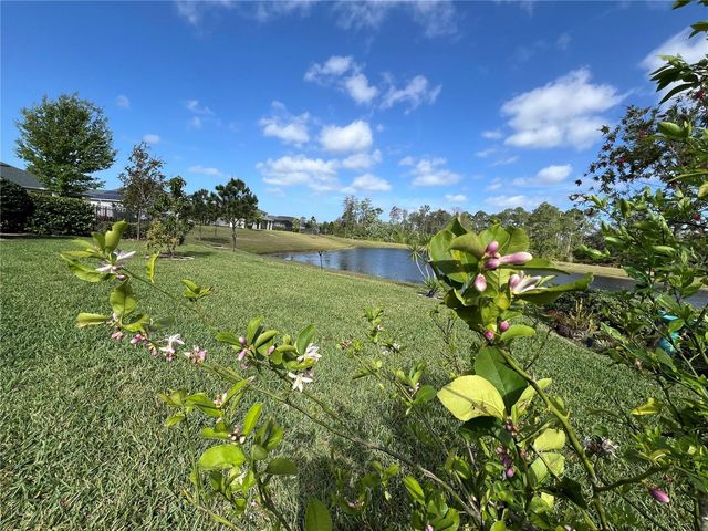 17988 PASSIONFLOWER CIRCLE, Clermont, FL 34714