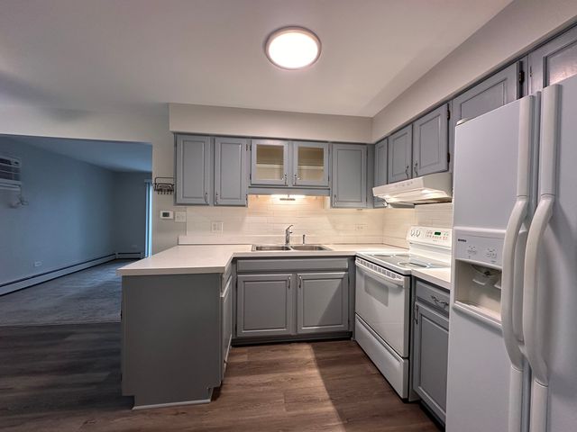 4525 Elm Avenue 2B, Brookfield, IL 60513