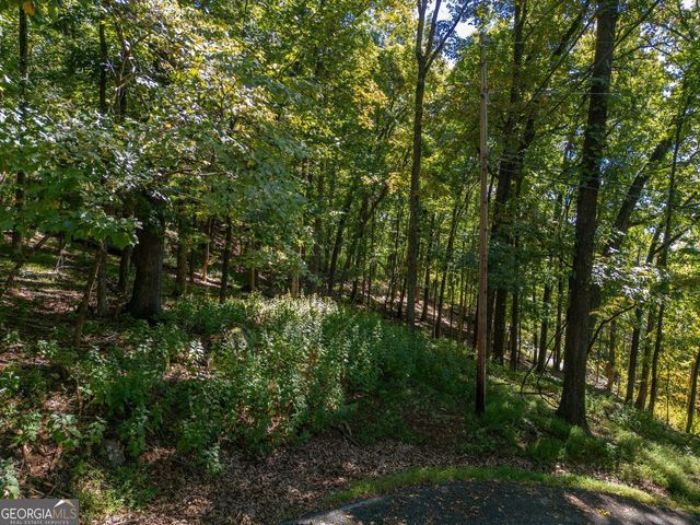 0 Valley View Vista, Jasper, GA 30143