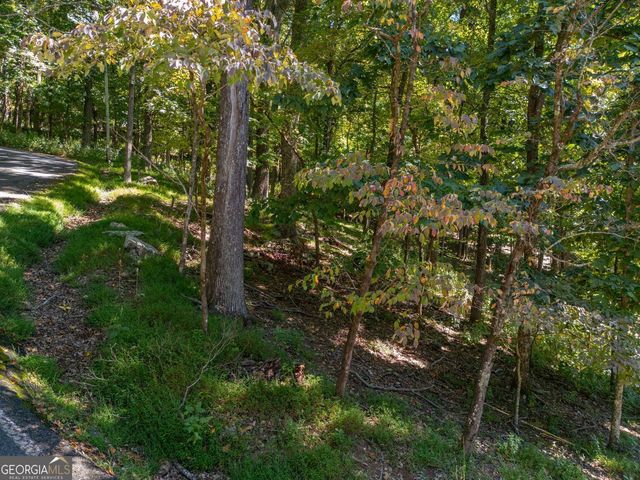 0 Valley View Vista, Jasper, GA 30143