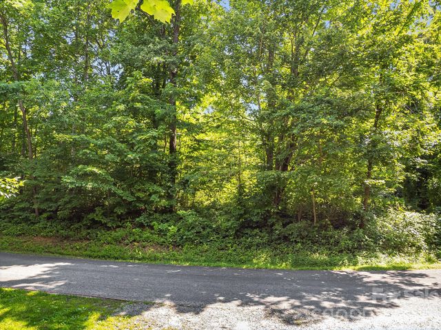 2523 Creston Drive T-24, Black Mountain, NC 28711