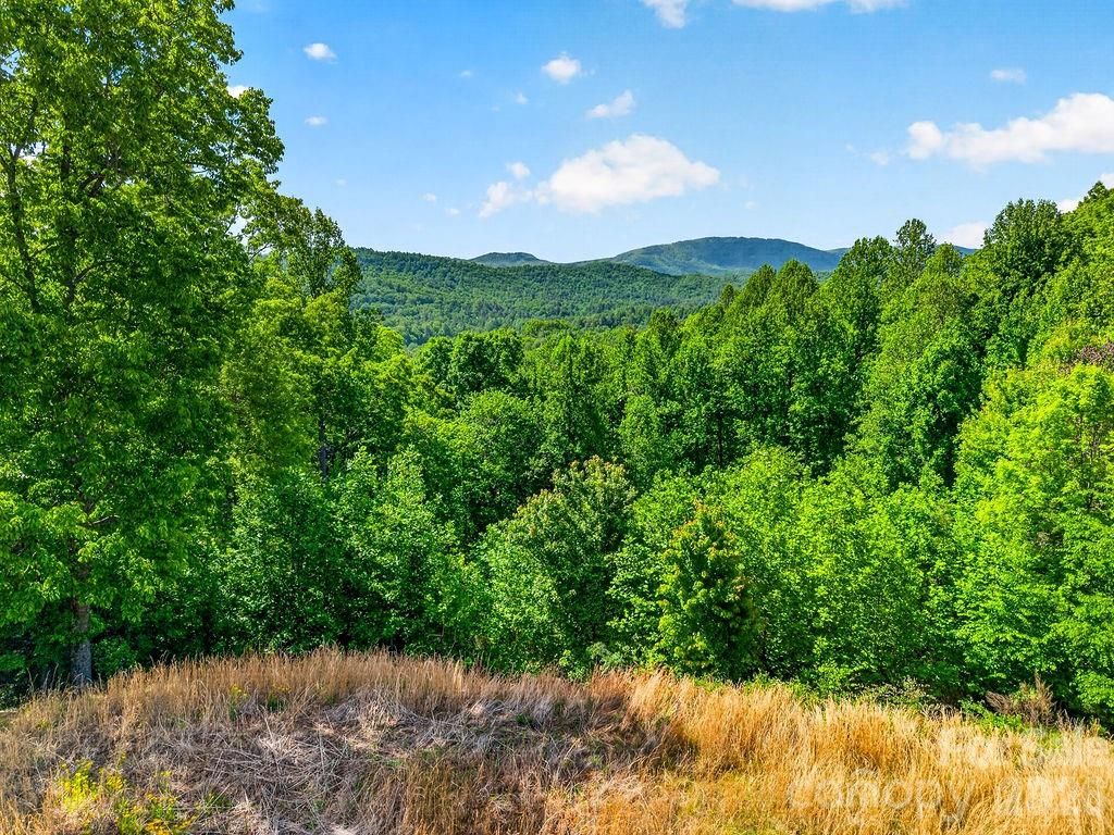 51 Falls Lane, Hendersonville, NC 28739