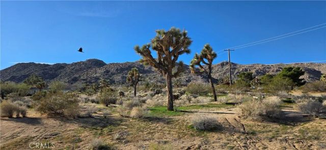60917 Navajo, Joshua Tree, CA 92252