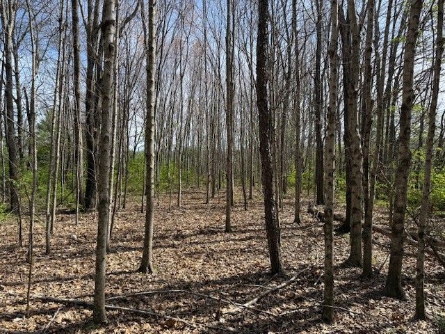 0 Shellsford Rd, Mcminnville, TN 37110