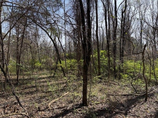 0 Shellsford Rd, Mcminnville, TN 37110