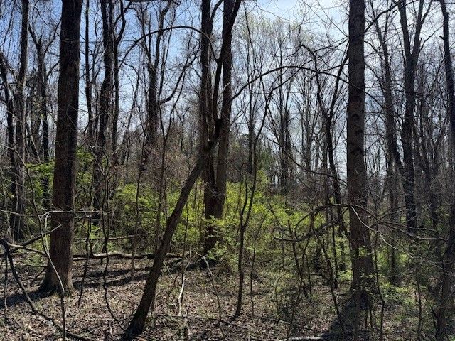 0 Shellsford Rd, Mcminnville, TN 37110