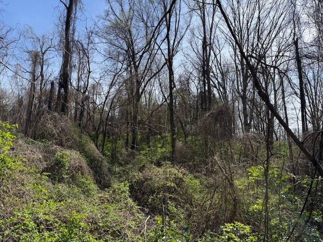 0 Shellsford Rd, Mcminnville, TN 37110