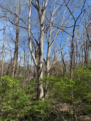 0 Shellsford Rd, Mcminnville, TN 37110