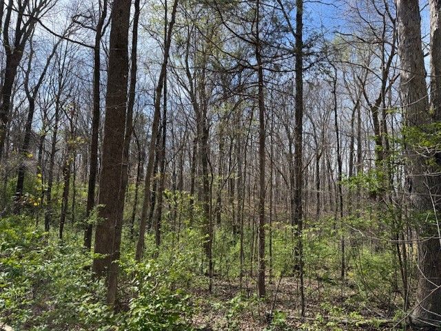 0 Shellsford Rd, Mcminnville, TN 37110