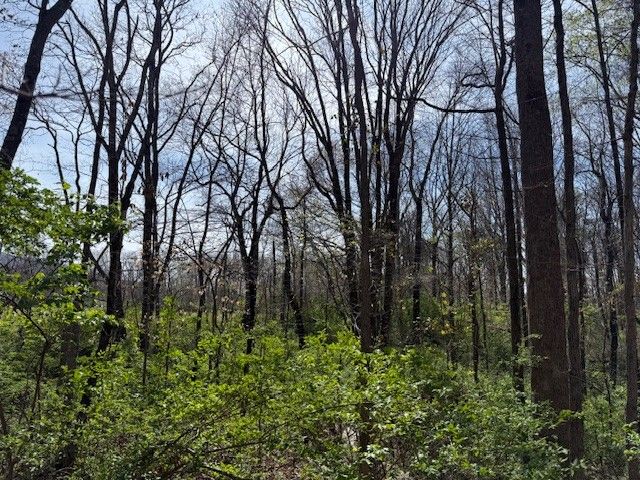 0 Shellsford Rd, Mcminnville, TN 37110