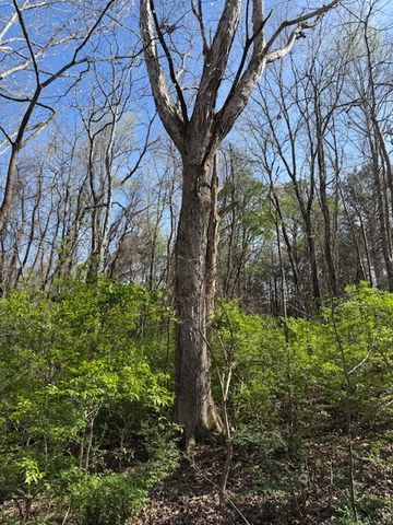 0 Shellsford Rd, Mcminnville, TN 37110