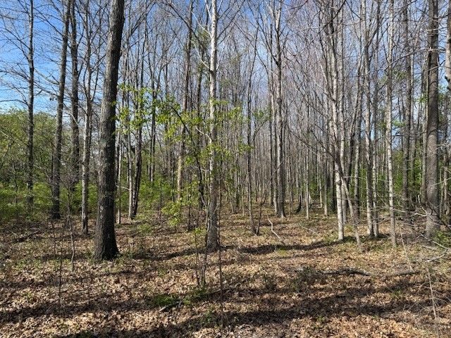 0 Shellsford Rd, Mcminnville, TN 37110