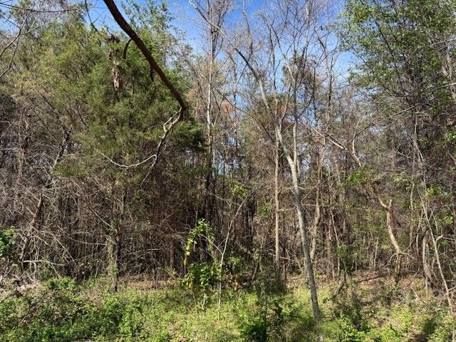 0 Shellsford Rd, Mcminnville, TN 37110