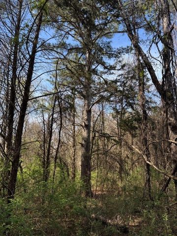 0 Shellsford Rd, Mcminnville, TN 37110