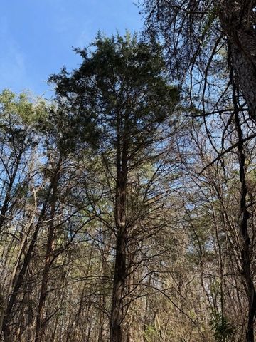 0 Shellsford Rd, Mcminnville, TN 37110