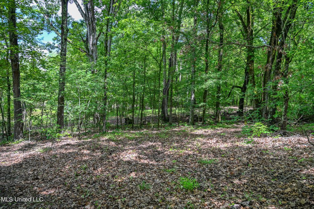 Lot 2 Woodlawn Road, Byhalia, MS 38611 — photo 5