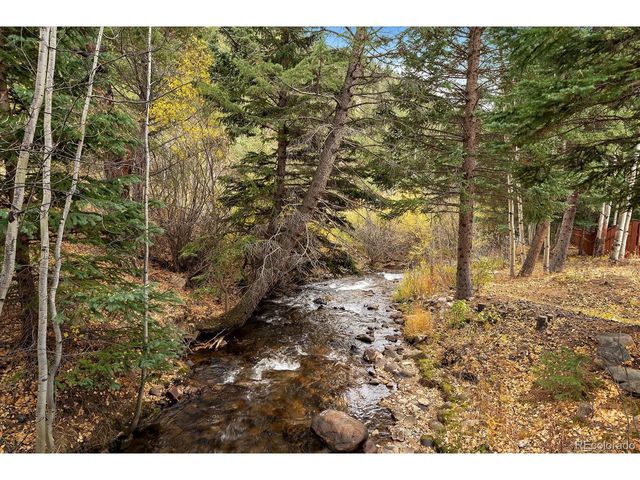 2971 Fall River Rd, Idaho Springs, CO 80452