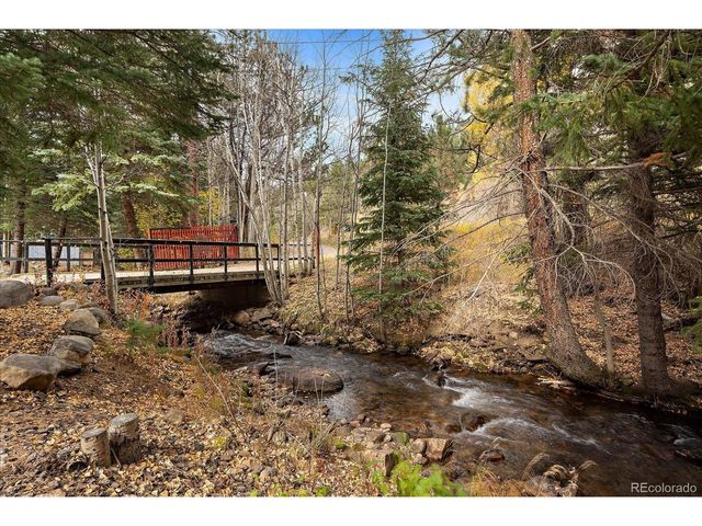 2971 Fall River Rd, Idaho Springs, CO 80452