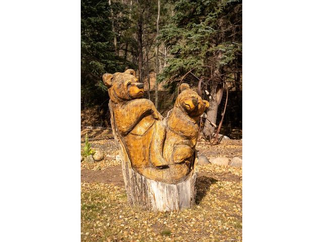 2971 Fall River Rd, Idaho Springs, CO 80452