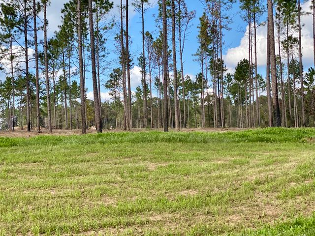 5.71 AC McBriar, Lot 7, Purvis, MS 39475