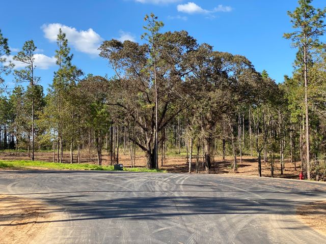 5.71 AC McBriar, Lot 7, Purvis, MS 39475